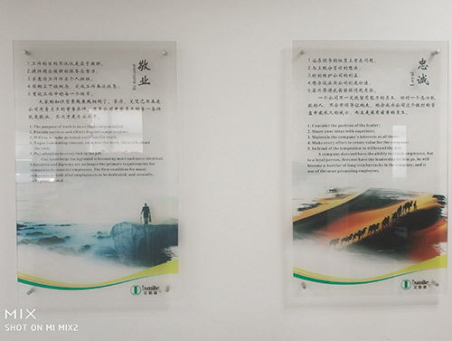 公司風貌